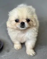 processed/ab43848c-91c1-42c3-9bf1-8d5e8921fc67/listing/4d8f0187-7537-4c1f-bdb0-e38f4b260017/11afe5f5-514e-4666-b315-fc83445c02a7