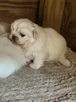 processed/ab43848c-91c1-42c3-9bf1-8d5e8921fc67/listing/4d8f0187-7537-4c1f-bdb0-e38f4b260017/9439f5ae-d7a0-480d-85e7-748521ee83eb