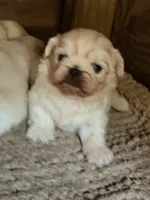 processed/ab43848c-91c1-42c3-9bf1-8d5e8921fc67/listing/4d8f0187-7537-4c1f-bdb0-e38f4b260017/d3677cb2-7a12-4361-9e4b-e0a939f6be80