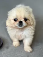 processed/ab43848c-91c1-42c3-9bf1-8d5e8921fc67/listing/4d8f0187-7537-4c1f-bdb0-e38f4b260017/fcba1076-e3ce-4d6e-97ec-22b601adf3f8