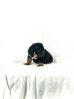 processed/ab4444b1-a2ee-4ebd-9a66-dfb56b58ec35/listing/52881235-b0f5-4145-9a50-241a11b76270/b7b75591-6b5d-405e-8d62-bd3668eb47d9