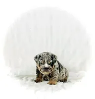 processed/ab4444b1-a2ee-4ebd-9a66-dfb56b58ec35/listing/7b97148a-3cac-4479-a0c5-1c7bb3b5c890/2d2a21c1-3a86-483f-aa18-843c2c0cc299