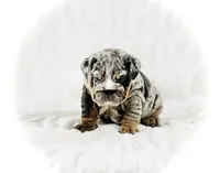 processed/ab4444b1-a2ee-4ebd-9a66-dfb56b58ec35/listing/7b97148a-3cac-4479-a0c5-1c7bb3b5c890/2d384b34-7a1c-4a4e-84e8-051ac51d576b