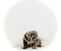 processed/ab4444b1-a2ee-4ebd-9a66-dfb56b58ec35/listing/7b97148a-3cac-4479-a0c5-1c7bb3b5c890/32d766ac-b097-402e-a521-e22d170c1462