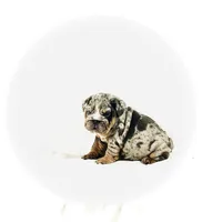 processed/ab4444b1-a2ee-4ebd-9a66-dfb56b58ec35/listing/7b97148a-3cac-4479-a0c5-1c7bb3b5c890/e63ade53-640e-44c2-a1e5-93582ea56f24