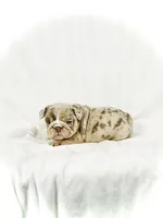 processed/ab4444b1-a2ee-4ebd-9a66-dfb56b58ec35/listing/8c4893c0-c75d-481c-a0db-0600abf50201/b57fffbe-d575-4da7-a492-113b2ff1450a