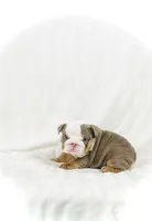 processed/ab4444b1-a2ee-4ebd-9a66-dfb56b58ec35/listing/f9c33866-b5d6-4a74-a344-27f901aab3ea/3bd3fb49-d8b6-47ab-b3b6-036bb1d00739