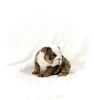 processed/ab4444b1-a2ee-4ebd-9a66-dfb56b58ec35/listing/f9c33866-b5d6-4a74-a344-27f901aab3ea/4ec79f14-702d-4622-9719-c3c4fd03fee6