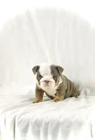 processed/ab4444b1-a2ee-4ebd-9a66-dfb56b58ec35/listing/f9c33866-b5d6-4a74-a344-27f901aab3ea/cf59386d-f35a-420c-94c4-c4a5c879b541