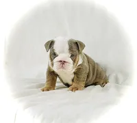 processed/ab4444b1-a2ee-4ebd-9a66-dfb56b58ec35/listing/f9c33866-b5d6-4a74-a344-27f901aab3ea/ebcd5ad6-121f-4f3d-abca-22cf5356b280