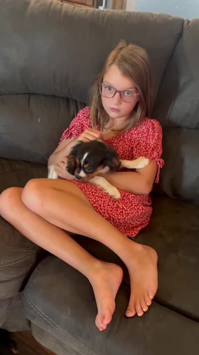 Ryan, a male Cavalier King Charles Spaniel for sale in Buffalo, MO – 10 of 10