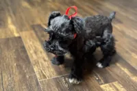 processed/ab4aa404-d4c2-435b-925c-af40801d79c1/listing/31348fa1-4e64-4add-a2b5-3000863cb04e/21a93f75-bd75-43fc-9f3b-a130ea4f30c2