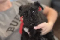 processed/ab4aa404-d4c2-435b-925c-af40801d79c1/listing/31348fa1-4e64-4add-a2b5-3000863cb04e/612a6b73-0fe1-419a-a5b0-3a00a7bd5058