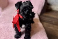 processed/ab4aa404-d4c2-435b-925c-af40801d79c1/listing/31348fa1-4e64-4add-a2b5-3000863cb04e/9c311ba2-f6fd-4ebe-bff7-0dda9a8e0eaa