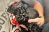 processed/ab4aa404-d4c2-435b-925c-af40801d79c1/listing/31348fa1-4e64-4add-a2b5-3000863cb04e/c35ed271-f732-4fee-b119-46f9db697ca6