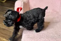 processed/ab4aa404-d4c2-435b-925c-af40801d79c1/listing/31348fa1-4e64-4add-a2b5-3000863cb04e/d89ab81f-9b7e-4caa-871d-4e91d549ff1d