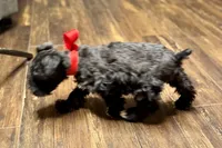 processed/ab4aa404-d4c2-435b-925c-af40801d79c1/listing/31348fa1-4e64-4add-a2b5-3000863cb04e/e537fb8b-e6a0-449a-8ea3-36dfe603b2c0