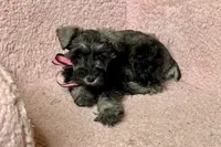 processed/ab4aa404-d4c2-435b-925c-af40801d79c1/listing/6670232f-2491-4edf-a716-f2fae749d9e1/3d430f3c-c20c-487c-97fd-73ce3dc4c6f0