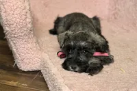 processed/ab4aa404-d4c2-435b-925c-af40801d79c1/listing/6670232f-2491-4edf-a716-f2fae749d9e1/6ff4f6ee-fa94-479f-b27b-90007c1017f4