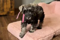 processed/ab4aa404-d4c2-435b-925c-af40801d79c1/listing/6670232f-2491-4edf-a716-f2fae749d9e1/7358cace-f7e3-4f57-9a57-c61f0e2f76f9