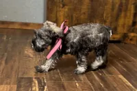 processed/ab4aa404-d4c2-435b-925c-af40801d79c1/listing/6670232f-2491-4edf-a716-f2fae749d9e1/9b3698ad-a262-484e-a8e8-b57d3d28cf7e