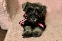 processed/ab4aa404-d4c2-435b-925c-af40801d79c1/listing/6670232f-2491-4edf-a716-f2fae749d9e1/afdc3069-b094-4587-a4d9-90821e8097e4