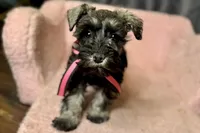 processed/ab4aa404-d4c2-435b-925c-af40801d79c1/listing/6670232f-2491-4edf-a716-f2fae749d9e1/b25521e1-3050-4e4a-a1ed-98b163124299