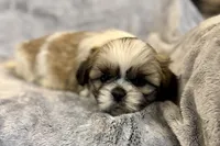 processed/ab4aa404-d4c2-435b-925c-af40801d79c1/listing/a7b301d4-eb16-48bb-a859-61698243a87a/13d8a4a4-4012-483c-8747-78deaace718a