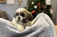 processed/ab4aa404-d4c2-435b-925c-af40801d79c1/listing/a7b301d4-eb16-48bb-a859-61698243a87a/231bcd89-ddfa-4f80-8d67-8daf84d62b01