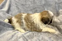 processed/ab4aa404-d4c2-435b-925c-af40801d79c1/listing/a7b301d4-eb16-48bb-a859-61698243a87a/40d6bf06-ee7c-4d27-817f-e8b5686013b6