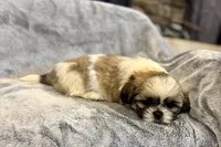 processed/ab4aa404-d4c2-435b-925c-af40801d79c1/listing/a7b301d4-eb16-48bb-a859-61698243a87a/515d9563-f592-4557-84f7-d9d7f15fe77e