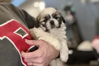 processed/ab4aa404-d4c2-435b-925c-af40801d79c1/listing/a7b301d4-eb16-48bb-a859-61698243a87a/6fe93215-f197-485b-9368-bec04225beba