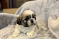 processed/ab4aa404-d4c2-435b-925c-af40801d79c1/listing/a7b301d4-eb16-48bb-a859-61698243a87a/806b4a99-cda7-41c9-a718-6fd3f1f9efb5