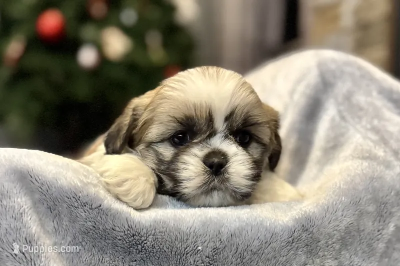 Nado- deposit from Christy