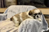 processed/ab4aa404-d4c2-435b-925c-af40801d79c1/listing/a7b301d4-eb16-48bb-a859-61698243a87a/f10ff5cc-2b39-4600-a889-8aa71f4f376f