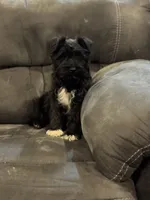 processed/ab4aa404-d4c2-435b-925c-af40801d79c1/listing/b1951310-7212-4011-9df0-9a726f87e093/019daa93-680c-457e-91ad-bffb2b942af2