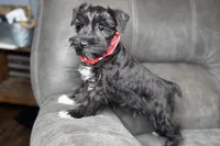 processed/ab4aa404-d4c2-435b-925c-af40801d79c1/listing/b1951310-7212-4011-9df0-9a726f87e093/091b23aa-c0a6-4381-ad86-26537e207328