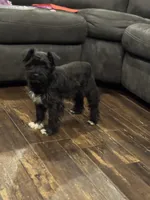 processed/ab4aa404-d4c2-435b-925c-af40801d79c1/listing/b1951310-7212-4011-9df0-9a726f87e093/0b8b8496-9f66-4395-b472-700d3945c86e