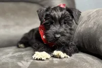 processed/ab4aa404-d4c2-435b-925c-af40801d79c1/listing/b1951310-7212-4011-9df0-9a726f87e093/3d65a97c-1af3-4539-9a39-4695ed4c67d7