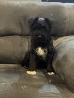 processed/ab4aa404-d4c2-435b-925c-af40801d79c1/listing/b1951310-7212-4011-9df0-9a726f87e093/469646e7-8e7d-424e-847c-e7b13548d646