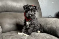 processed/ab4aa404-d4c2-435b-925c-af40801d79c1/listing/b1951310-7212-4011-9df0-9a726f87e093/bfea7695-5d09-4c3d-8b59-e493cf48c55e