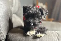 processed/ab4aa404-d4c2-435b-925c-af40801d79c1/listing/b1951310-7212-4011-9df0-9a726f87e093/c1d59311-81d0-48e7-bea0-918f3dd36fa2