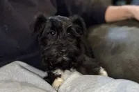 processed/ab4aa404-d4c2-435b-925c-af40801d79c1/listing/b1951310-7212-4011-9df0-9a726f87e093/e48373ac-a1ed-4996-b882-58587161ab77