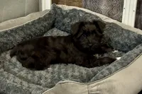 processed/ab4aa404-d4c2-435b-925c-af40801d79c1/listing/b1951310-7212-4011-9df0-9a726f87e093/f6c655e1-39c0-4b75-8b14-b6662a8f6423