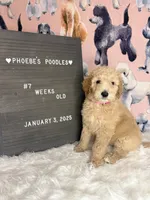 processed/ab59b6b9-fd3a-46d7-8be6-5ce65b6673a1/listing/1e3c28c2-054a-4cf4-a477-819492901803/36a0235c-9833-4173-b966-387e8234970a