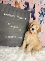 processed/ab59b6b9-fd3a-46d7-8be6-5ce65b6673a1/listing/1e3c28c2-054a-4cf4-a477-819492901803/87381954-528a-44e9-8173-328dccba034b