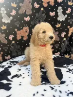 processed/ab59b6b9-fd3a-46d7-8be6-5ce65b6673a1/listing/1e3c28c2-054a-4cf4-a477-819492901803/9d1bf066-42e8-46b3-93f6-d24cf653861e