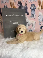 processed/ab59b6b9-fd3a-46d7-8be6-5ce65b6673a1/listing/1e3c28c2-054a-4cf4-a477-819492901803/9f39919d-9d10-43db-aa15-cf1d6efa0c8e