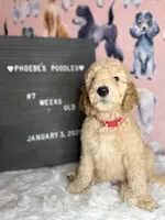 processed/ab59b6b9-fd3a-46d7-8be6-5ce65b6673a1/listing/1e3c28c2-054a-4cf4-a477-819492901803/adb301b7-e2c1-4704-831c-5078d35fd9b1