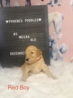 processed/ab59b6b9-fd3a-46d7-8be6-5ce65b6673a1/listing/1e3c28c2-054a-4cf4-a477-819492901803/cda1c277-060c-43fc-b9cf-05e573eaa8d8